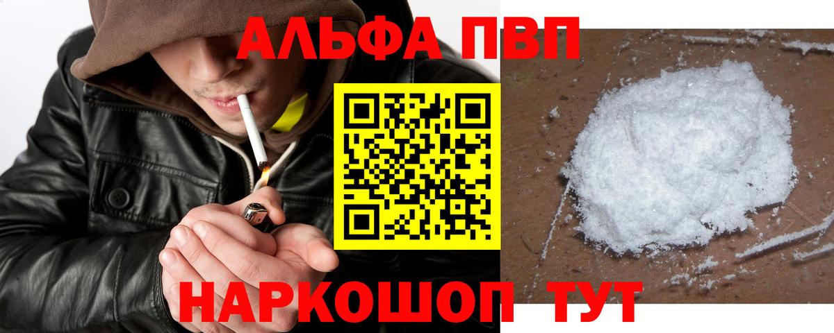 Альфа ПВП СК Саранск