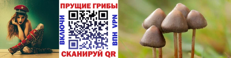 Псилоцибиновые грибы ЛСД  MEGA рабочий сайт  Саранск 